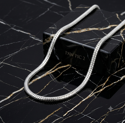 The Hawk - Silver Chain