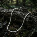 The Hawk - Silver Chain